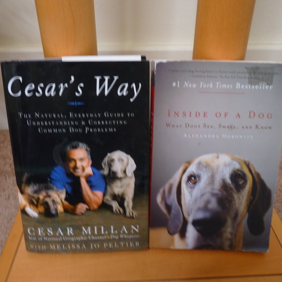 Cesar's Way/Inside of a Dog/ The Forever Dog/ 2  Plaques/Reflective Stic… - Picture 3 of 9